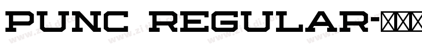 punc regular字体转换 punc regular字体转换
